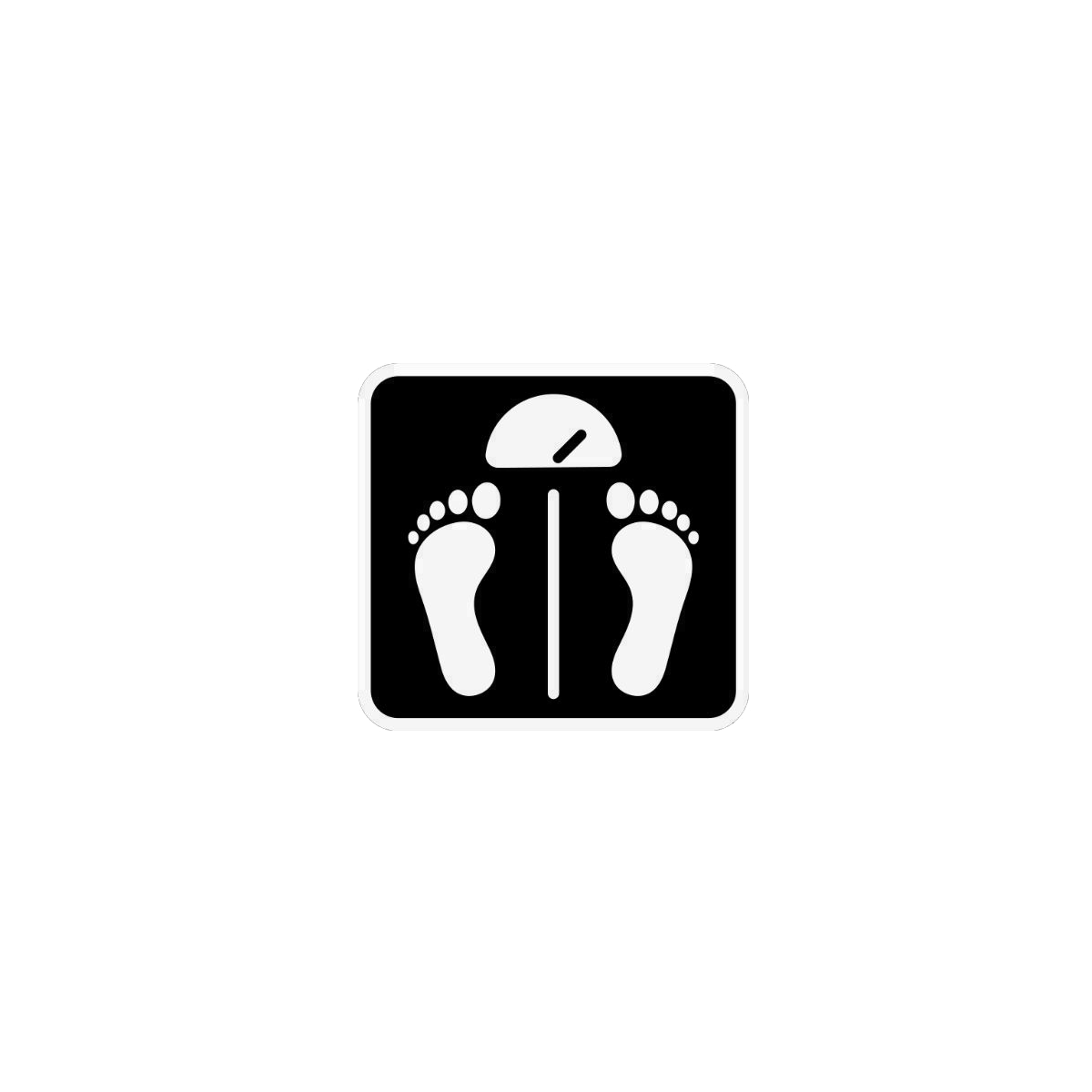 InBody Körperanalyse im Studio23 Functional Fitness Studio